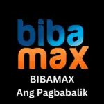 Bibamax click here